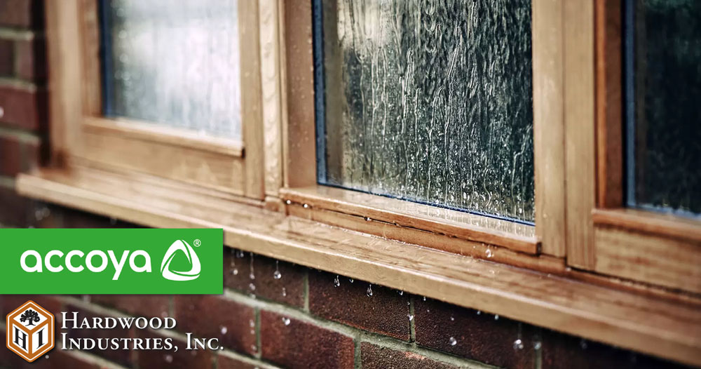 Rain on windows made from Accoya, the water resistant wood.